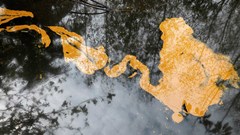 Nigeria needs $12bn to clean up Bayelsa oil spills - report