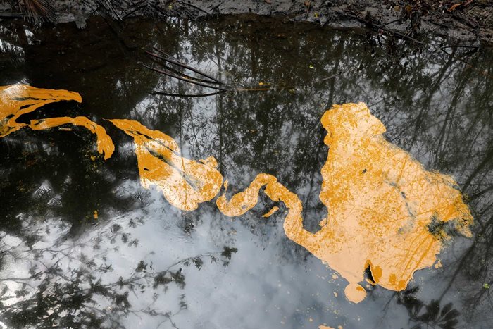 An oil slick on Santa Barbara Creek following an oil spill in Bayelsa, Nigeria. 2021. Source: Reuters/Temilade Adelaja