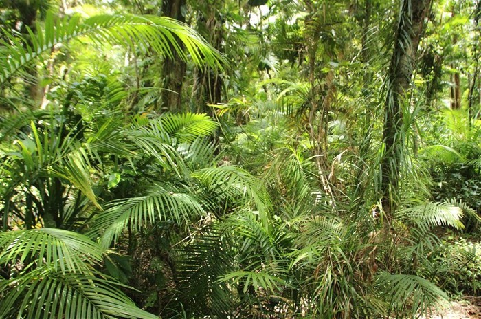 Source: travel-photography via