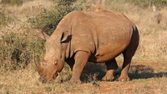 Image source: Magda Ehlers from