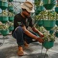 Mr Price Foundation empowers a sustainable future through hydroponic technology