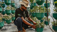 Mr Price Foundation empowers a sustainable future through hydroponic technology