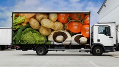 Dichotomy of abundance and scarcity: The paradox of South African agriculture