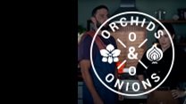 #OrchidsandOnions: Holm Energy Solar ad shines, Sasol rewards a fail