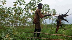 Unilever pivots to African suppliers as forex pressure mounts