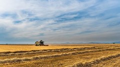 Source: josealbafotos via