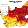 This figure shows which parts of the country were most affected by the 2015/16 El Nino event. Much of the central parts of the country, including the western maize production regions, experienced extreme drought conditions from October to December, while the north-eastern parts were less negatively affected
Photo credit: Johann Malherbe, ARC