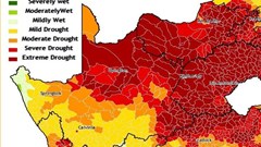 This figure shows which parts of the country were most affected by the 2015/16 El Nino event. Much of the central parts of the country, including the western maize production regions, experienced extreme drought conditions from October to December, while the north-eastern parts were less negatively affected
Photo credit: Johann Malherbe, ARC