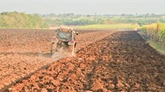 Nigeria is Africa's leading rice producer, but still needs more - reusing wastewater for irrigation would boost farming