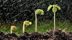 Source: © amenic181 -