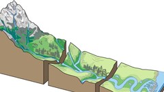 New study shows 3D modelling is a value unlock for TSF