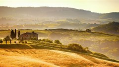 New OECD-FAO report maps future trends in global food production, trade