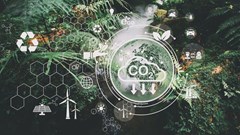 Image source: Chayanit Chankhong –