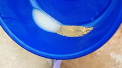 Some US companies still failing to meet conflict minerals rules, GAO says