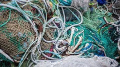 Image source: David Waschbüsch from