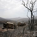 Burnt trees and vehicles are pictured in the aftermath of a wildfire in Bejaia, Algeria, 25 July 2023. Reuters/Ramzi Boudina