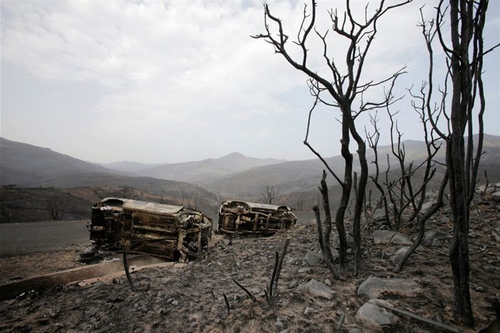 Burnt trees and vehicles are pictured in the aftermath of a wildfire in Bejaia, Algeria, 25 July 2023. Reuters/Ramzi Boudina