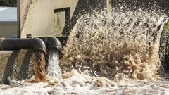 WaterCan lays criminal complaint against CoJ for ongoing sewage pollution