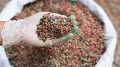 Food crisis in Africa: The high cost of imported fertilisers is adding to the problem