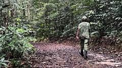 Source: Reuters. A view shows an ecoguard walking on a path in the Arboretum Raponda Walker during a press visit of this protected forest aera on the eve of the opening of the One Forest Summit in Libreville, Gabon, February 28, 2023.