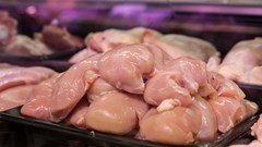 Setting the record straight: Reported import prices distort SA poultry market reality