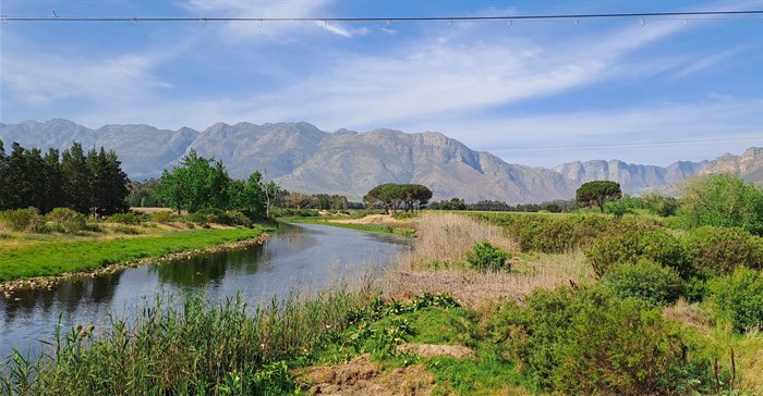 Image supplied: Credit: WC Government Dept Agriculture. Breede River Restoration. Woolworths and WWF’s Breede Catchment Water Stewardship programme has resulted in 200 million litres of water being released into the catchment on a yearly basis