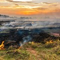 EI Niño and load shedding heighten risk of veld fires