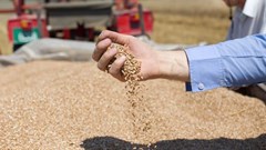 Insurance for small farmers: A multisector solution to a big problem