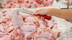 Anti-dumping duties on frozen bone-in chicken reinstated