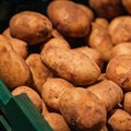 3 vital minerals found to enhance potato growth