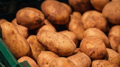 3 vital minerals found to enhance potato growth