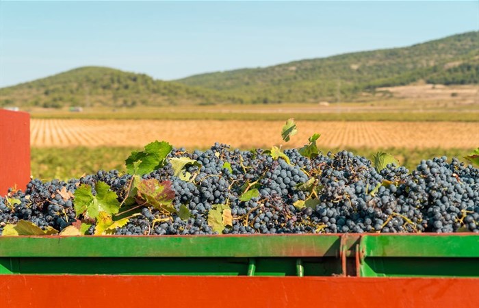 Source: wirestock via