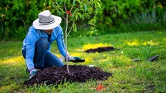 Image source: Alfo Medeiros from