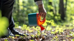 Sustaining existing trade partnerships and finding new markets is imperative for SA agriculture