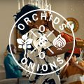 #OrchidsandOnions: Capital Legacy's will ad hits home