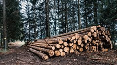 Source: Ruben Hanssen via