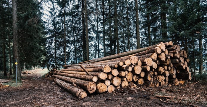 Source: Ruben Hanssen via