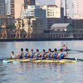 SA rowers to attend world champs in bid to qualify for Olympics