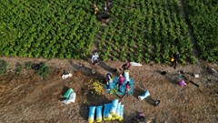 US, Norway join forces to boost African agriculture