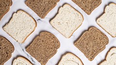 Albany is bringing 'real' back to life