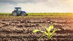 Renewed optimism as agriculture business confidence rebounds in Q3
