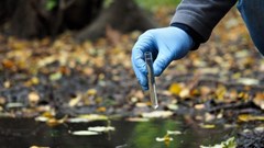 Image source: kozorog –