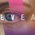 Image supplied. Wunderman Thompson has launched Reveal, a complete AI creative testing solution to help brands evaluate their advertising and brand assets