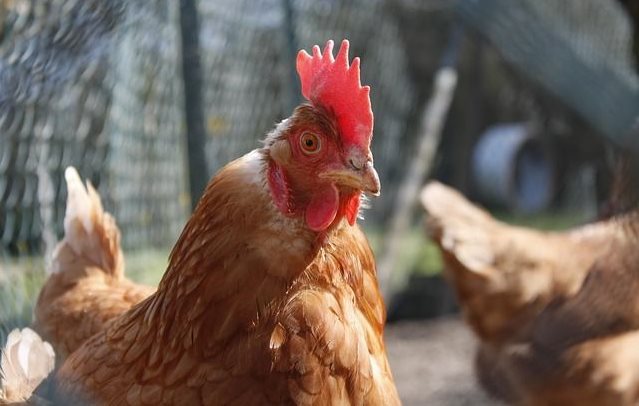 Source: whuiiiyourlife via