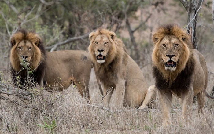 Source: wirestock via