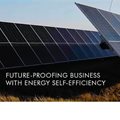 Safripol's 10-Megawatt Sasolburg renewable energy plant shows sustainability is good for business