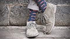 Cape Mohair thrives with solar power, reporting a record turnover