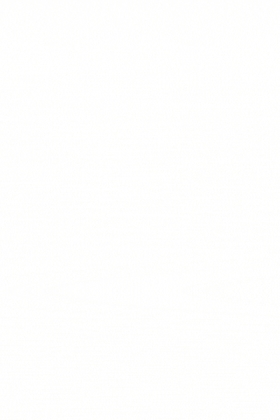 Motherland OMNi: Uniting businesses and South African communities through authentic connections