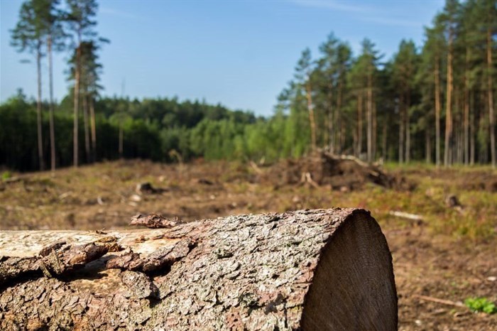 Source: ©Joerg Huettenhoelscher via