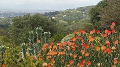 New biodiversity research project launched